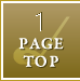 PAGETOP